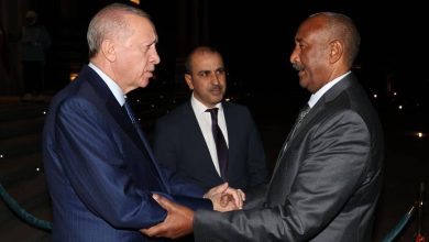 How Have Turkish Interventions Contributed to Prolonging the Sudanese Conflict?