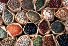 Including Peanuts: Five Magnesium-Rich Legumes That Deserve a Place in Your Diet