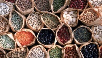 Including Peanuts: Five Magnesium-Rich Legumes That Deserve a Place in Your Diet
