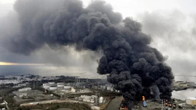 Japan Overcomes the Fukushima Disaster Phobia Under the Pressure of the Need for Stable Energy