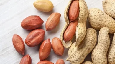 Peanuts at Breakfast: A Small Food with Big Benefits