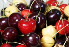Remarkable Benefits of Dark Cherries: Provided You Do Not Exceed the Recommended Daily Amount