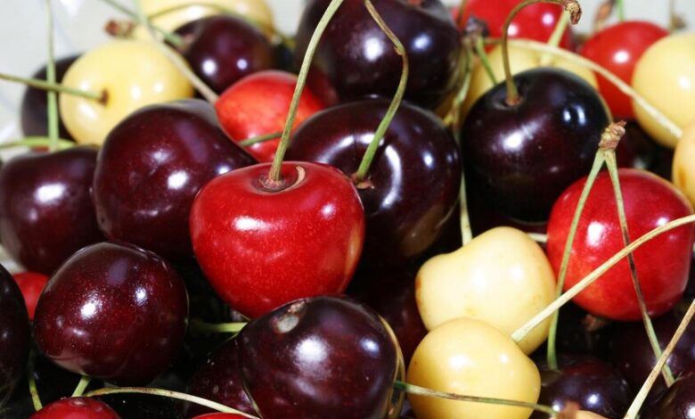 Remarkable Benefits of Dark Cherries: Provided You Do Not Exceed the Recommended Daily Amount