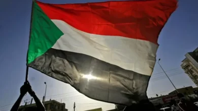 Second Article: How Have Regional Blocs Contributed to the Disintegration of the Sudanese State?