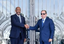Sudan Between Neighbouring Interests and Power Rivalries: How Have Egyptian Policies Contributed to Complicating the Situation and Prolonging the War?