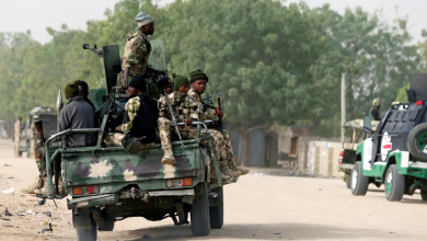Terrorism Toll in Nigeria: 13,000 Militants Killed in One Year