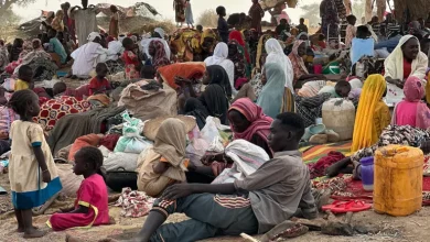 The Interconnection of Regional Interests and Its Impact on Prolonging the Sudanese Crisis