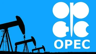 The Option of Withdrawing from OPEC Sparks Widespread Debate in Iraq