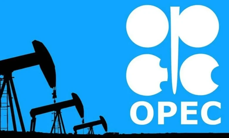 The Option of Withdrawing from OPEC Sparks Widespread Debate in Iraq