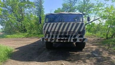 The Zebra in the Ukraine War: A Russian Weapon Designed to Deceive Drones