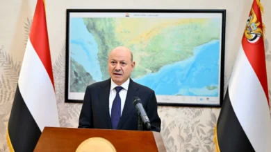 Al-Alimi Reveals Coordination with Saudi Arabia to Secure Maritime Routes