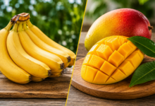 Banana or Mango: Which Fruit Gives Your Body More Energy?