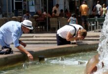 Heatwaves May Increase the Risk of Infectious Diseases in Europe