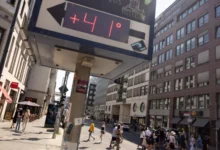 Heatwaves May Increase the Risk of Infectious Diseases in Europe