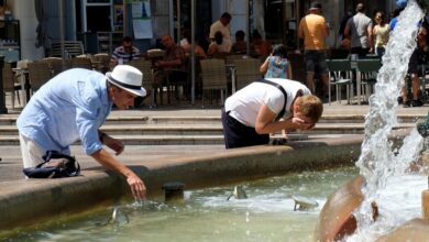 Heatwaves May Increase the Risk of Infectious Diseases in Europe
