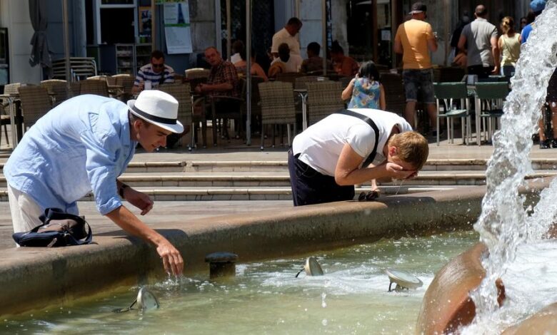 Heatwaves May Increase the Risk of Infectious Diseases in Europe