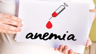 Iron-Deficiency Anemia: Why Does the Body Lose Its Ability to Produce Energy?