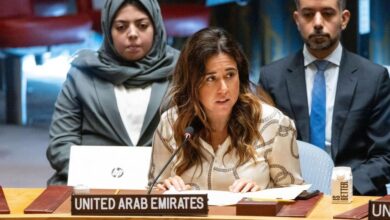 Lana Nusseibeh: Targeting Commercial Ships or Using the Strait of Hormuz as a Tool of Coercion Is Unacceptable