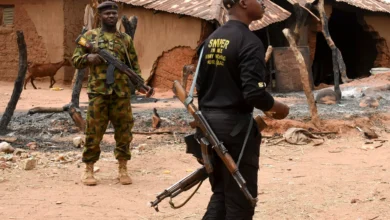 Major Breakthrough: Nigeria Says It Killed More Than 300 Terrorists in the Troubled North