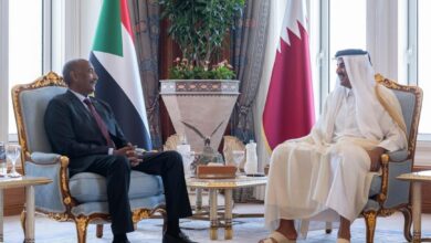 Qatar and the Reshaping of the Balance of Power in Sudan: Shadow Alliances and the Continuation of the Conflict