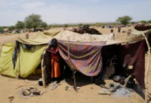 Targeting Civilians Between the Jabal al-Aqaydat Airstrikes and Exploitation Scandals in Chad’s Camps: A Sudanese Tragedy Without Refuge