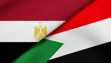 The Impact of Egyptian Intervention in Sudan on Regional and International Security