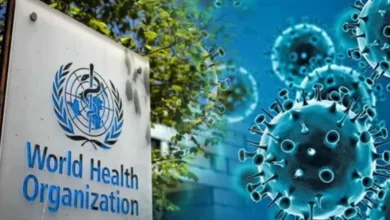 WHO Warns of a Global Rise in Cancer Cases by 2050