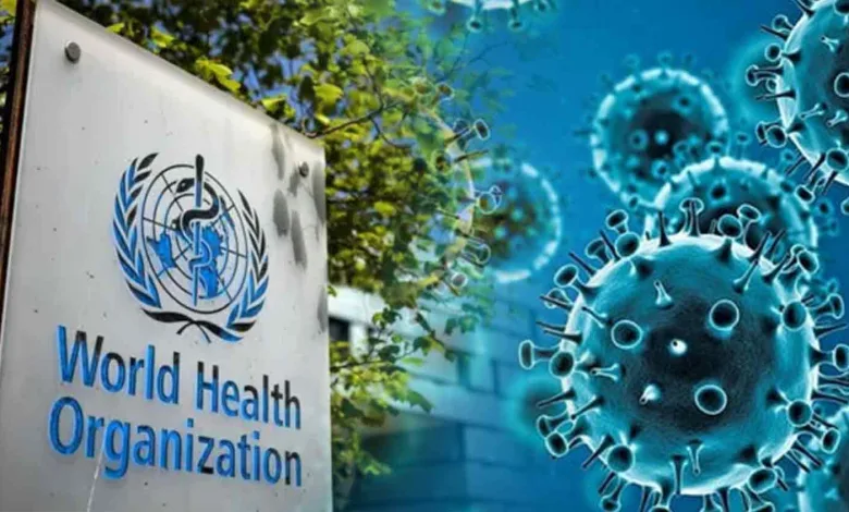 WHO Warns of a Global Rise in Cancer Cases by 2050