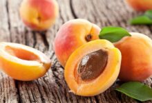 Why Do Experts Recommend Eating Apricots Regularly?