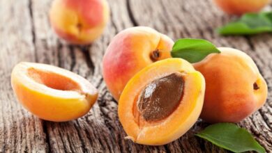 Why Do Experts Recommend Eating Apricots Regularly?