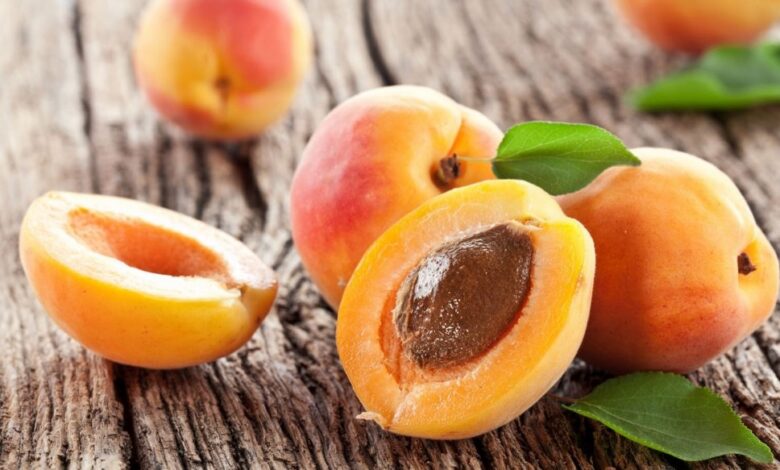 Why Do Experts Recommend Eating Apricots Regularly?