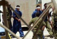 Animal rights halt a plan to guard Palestinian detainees with crocodiles