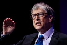 Bill Gates calls for slowing down artificial intelligence before it is too late