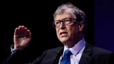 Bill Gates calls for slowing down artificial intelligence before it is too late