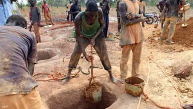 Gold Mines Intensify the Terrorist Threat in the Sahel: Financing, Recruitment and Expansion of Influence