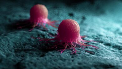 How Could Fructose Contribute to Cancer Tumor Recurrence?