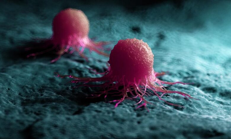 How Could Fructose Contribute to Cancer Tumor Recurrence?