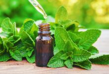 Peppermint Oil Enters the Supplement Market: Its Main Health Uses