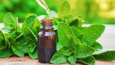 Peppermint Oil Enters the Supplement Market: Its Main Health Uses