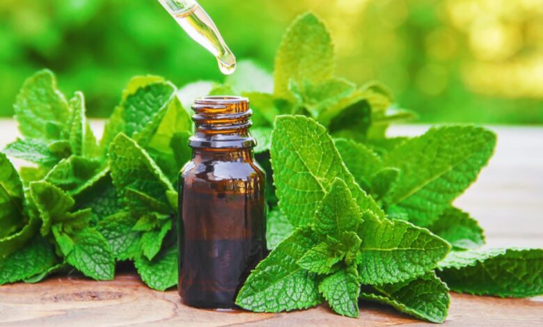 Peppermint Oil Enters the Supplement Market: Its Main Health Uses