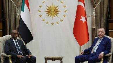 Political and Diplomatic Complexity: How Did Ankara Reshape the Map of Domestic Alliances?