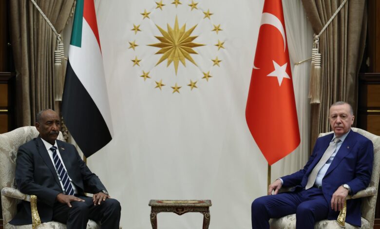 Political and Diplomatic Complexity: How Did Ankara Reshape the Map of Domestic Alliances?