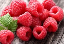 Red Raspberries Top the List of Summer Fruits: Here Are Their Benefits