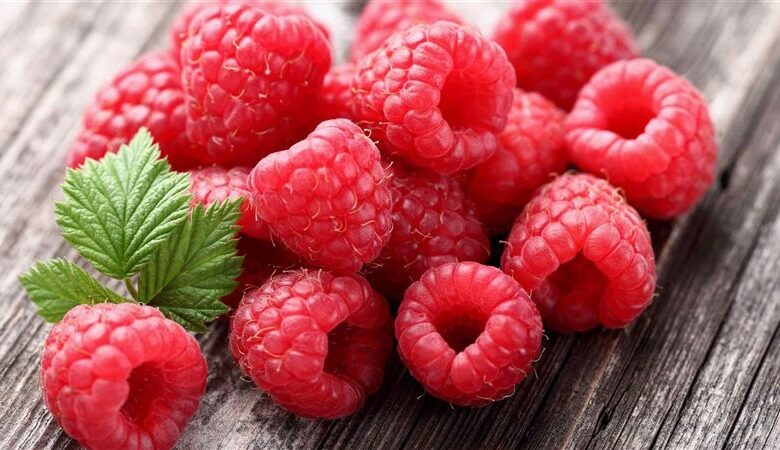 Red Raspberries Top the List of Summer Fruits: Here Are Their Benefits