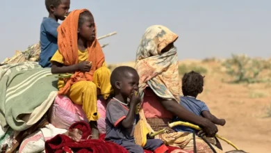 The Humanitarian Catastrophe and the Collapse of Sudan as a Result of Regional Interventions