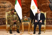 The Impact of Egyptian Support and Intervention on the Course of the Sudanese Conflict
