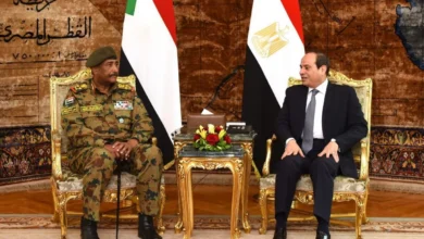 The Impact of Egyptian Support and Intervention on the Course of the Sudanese Conflict