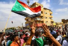 The Multiplicity of Regional Roles in the Sudanese Crisis and Egypt’s Role