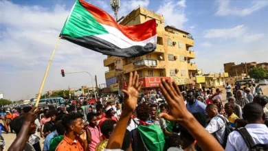 The Multiplicity of Regional Roles in the Sudanese Crisis and Egypt’s Role