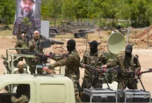 The Shepherd and the Flock: A New Hezbollah Weapon Raising Israeli Concerns